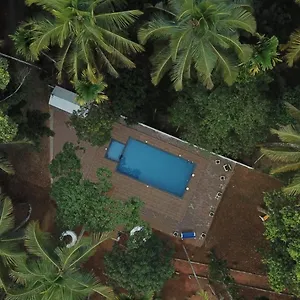 https://paddyfield-inn.kerala-hotels.net